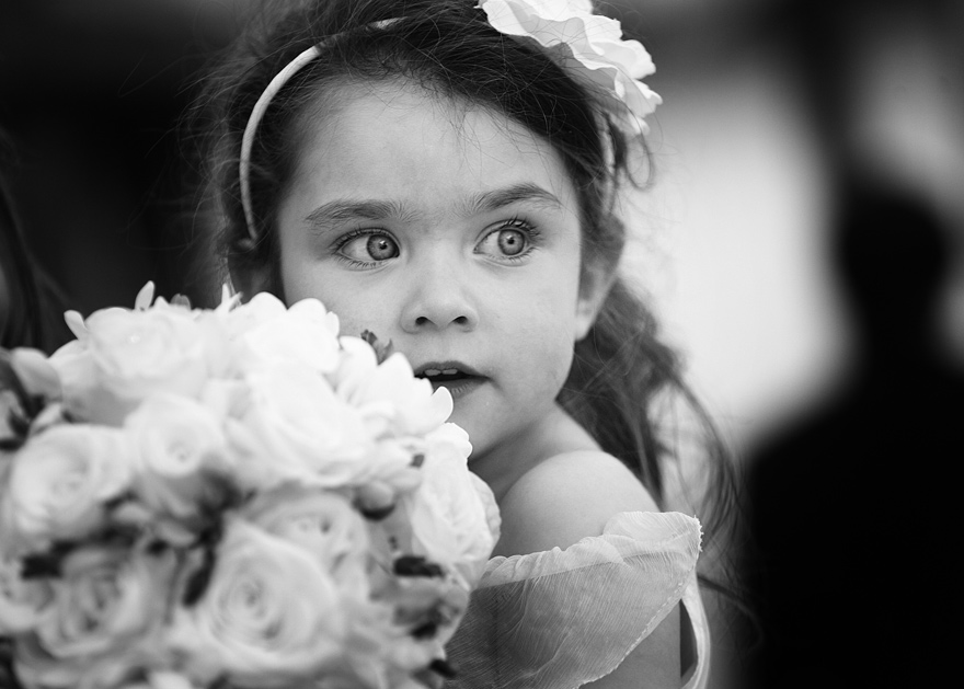 Wedding Photography Wedding Photography